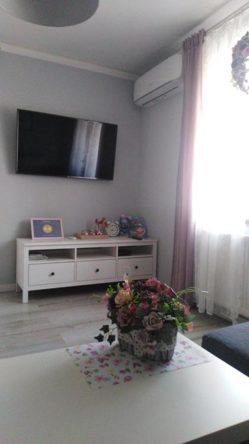 Apartament Antek Klimatyzowany Освенцим Экстерьер фото