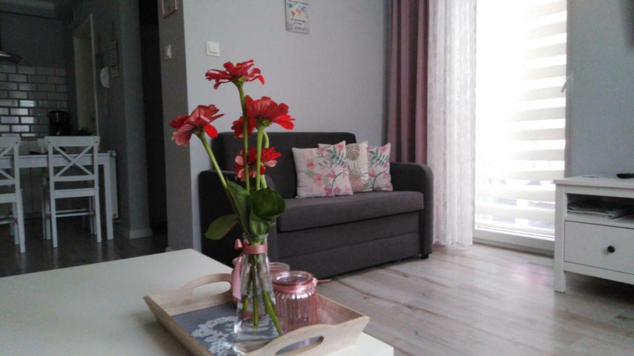 Apartament Antek Klimatyzowany Освенцим Экстерьер фото